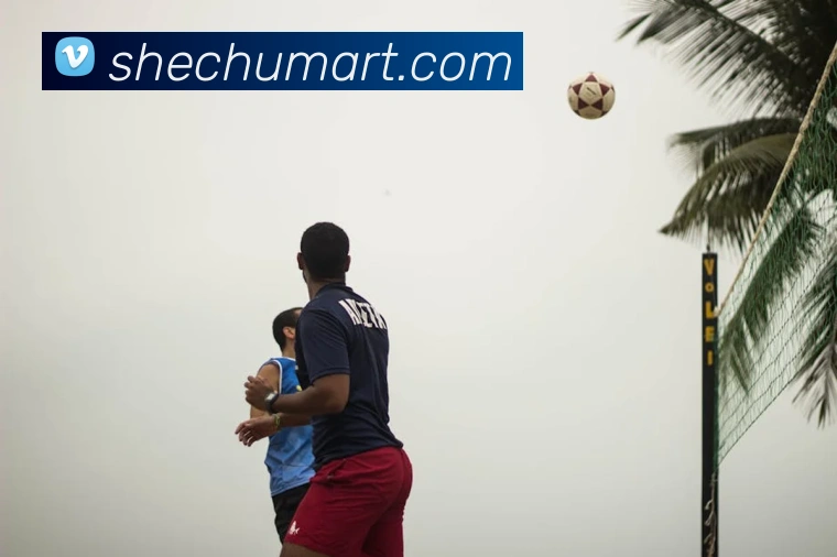 emc易倍官网入口服务体系